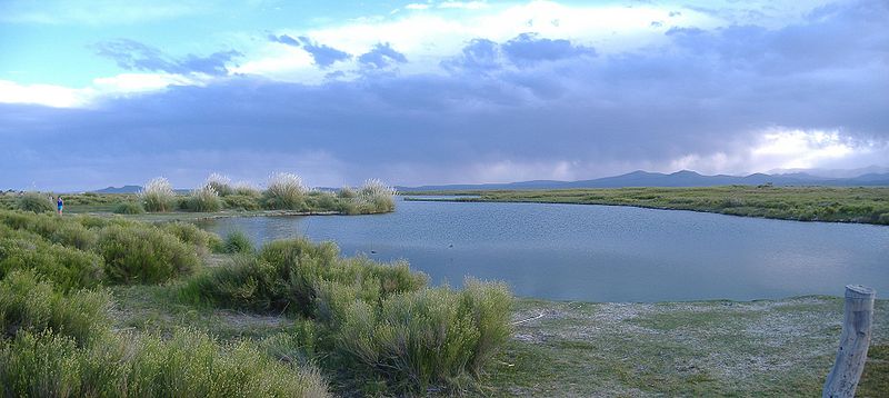Restauran humedal clave para la biodiversidad en Mendoza, Argentina
