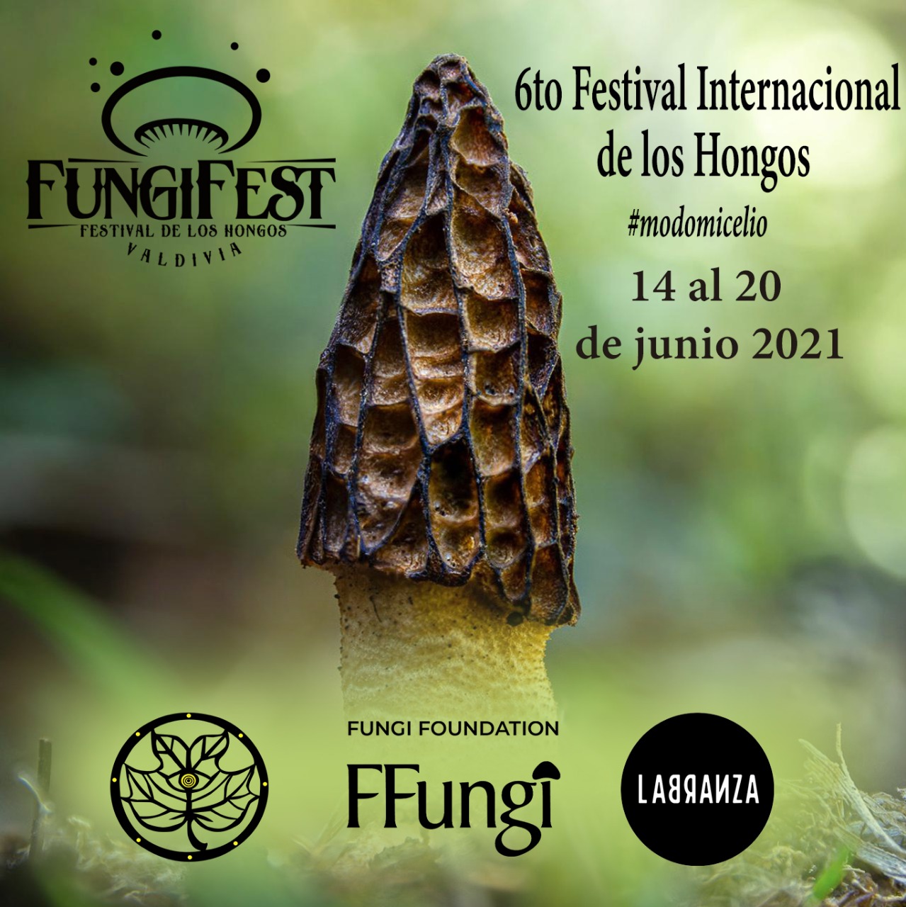 Afiche oficial FungiFest 2021 ©Fundación Fungi