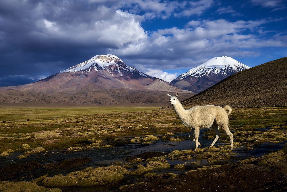 Chile de norte a sur: un recorrido virtual por cinco destinos imperdibles para visitar más adelante
