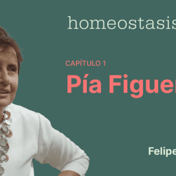 “Homeostasis Live”, Capítulo 1: Una conversación con Pía Figueroa, siloísta, periodista y escritora
