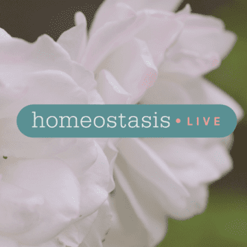 Felipe Monsalve: “Homeostasis Live se desarrolla para colaborar en la reflexión que nos debemos saber dar con libertad, amor y confianza”