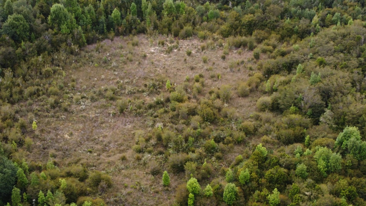 Turberas, Chiloé ©Cortesía Ministerio del Medio Ambiente
