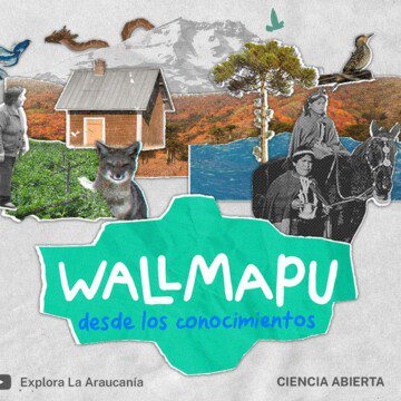 “Wallmapu desde los conocimientos”: mira aquí la miniserie sobre la cultura, naturaleza y saberes de La Araucanía