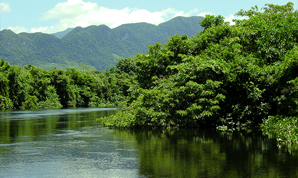 En el departamento de Izabal, en Guatemala, están 12 áreas protegidas y parques nacionales, con seis tipos de ecosistemas, en su mayoría de selva húmeda tropical. Crédito: © Fundación Defensores de la Naturaleza.