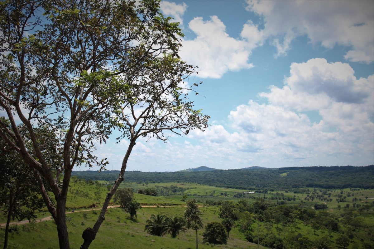 Vista panorámica del Área Natural de Manejo Integrado Serranía San Lorenzo. Crédito: © Fundación Natura.