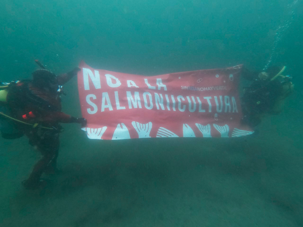 El movimiento llegó hasta el Canal de Beagle, con un ‘banderazo’ en repudio a la industria del salmón. Crédito: © Rewilding Argentina.