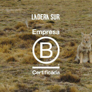 Ladera Sur se convierte en Empresa B: ¡somos el único medio de comunicación con esta certificación en Chile!