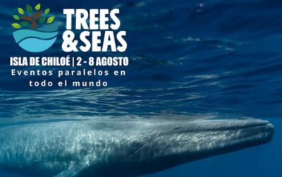 No te pierdas el Festival Trees & Seas, que une la conservación de los bosques y océanos
