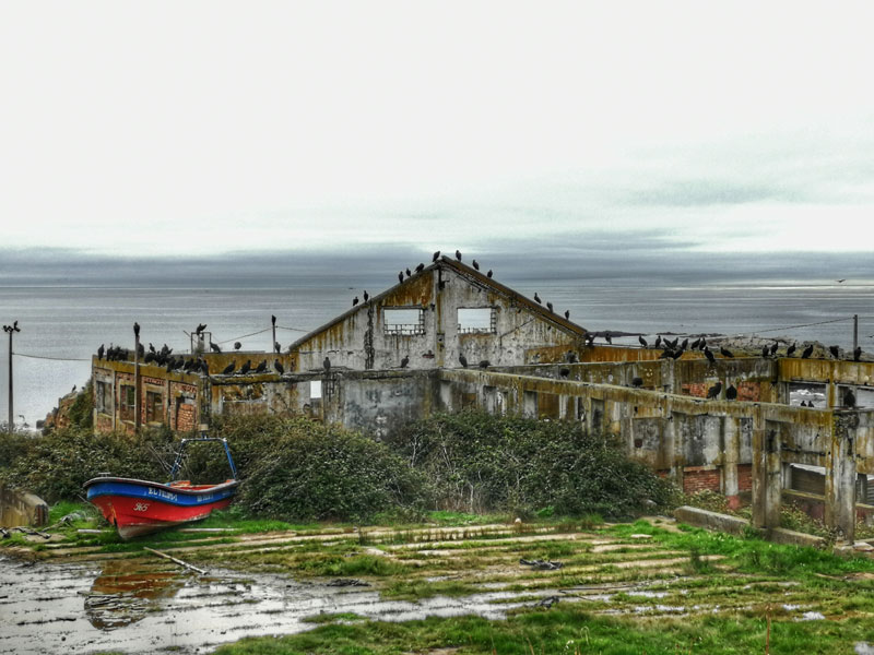 Las ruinas de la ballenera Trinidad, en Caleta Chome. ©Fernanda Silva