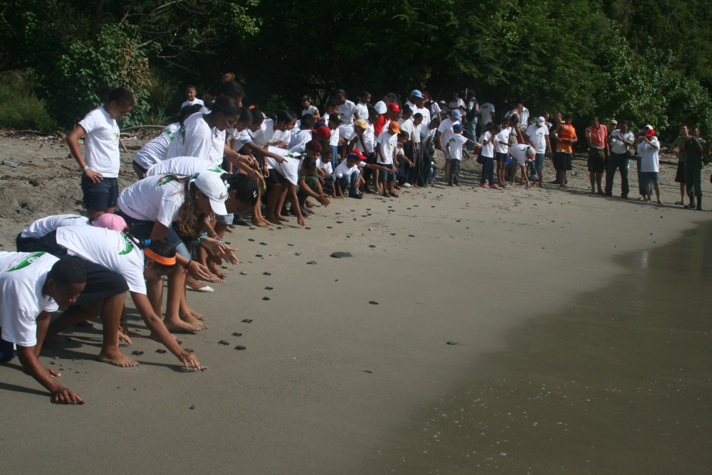 Liberación de tortugas marinas en una playa de Venezuela. Crédito: Cortesía / Clemente Balladares