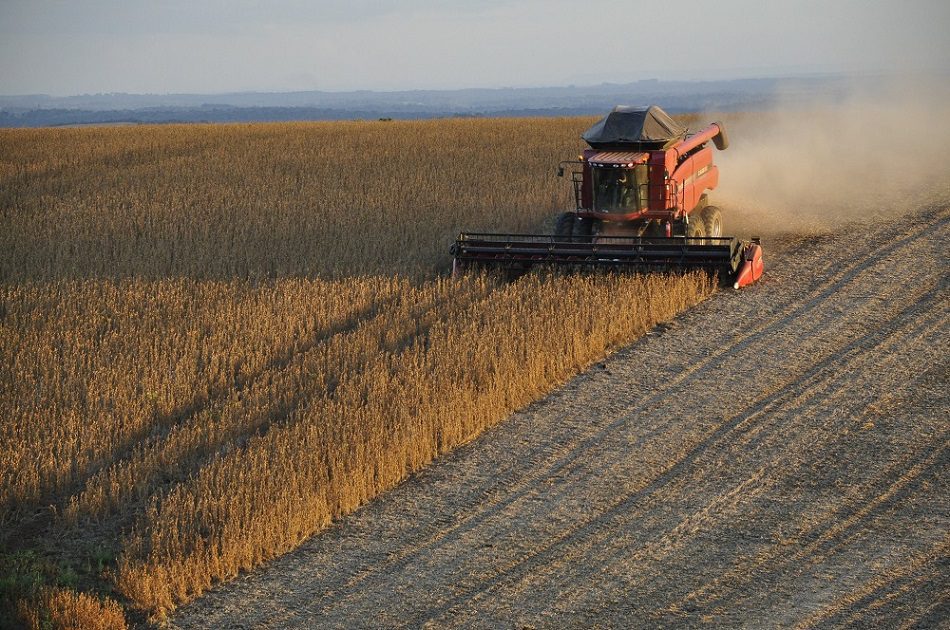 Industria agrícola chilena amenaza a polinizadores y usa 44 pesticidas prohibidos en Europa: científicos apuestan por la agroecología