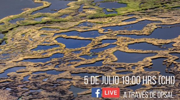 Lanzamiento de la Iniciativa de Valoración y Protección de Salares y Humedales Andinos