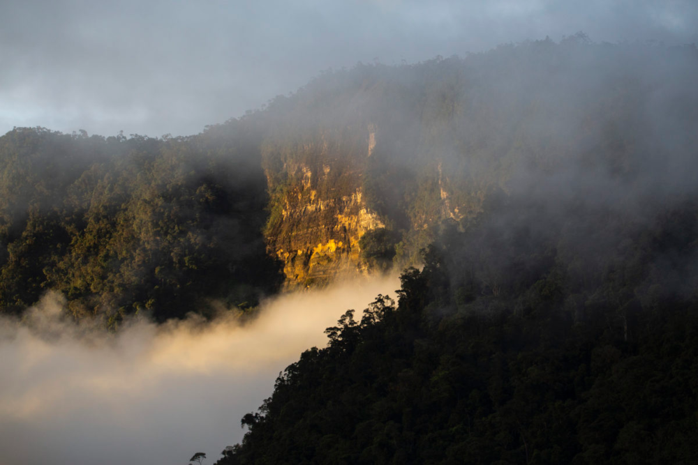 Picos escarpados acompañan los paisajes en el parque nacional Cordillera de los Picachos. Crédito: ©Pablo Mejía – WWF Colombia.