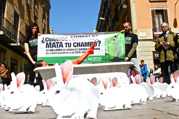 Acto Día Mundial del Animal de Laboratorio 2012, protestas en numerosas ciudades de España ©AnimaNaturalis Foto extraída de Flickr
