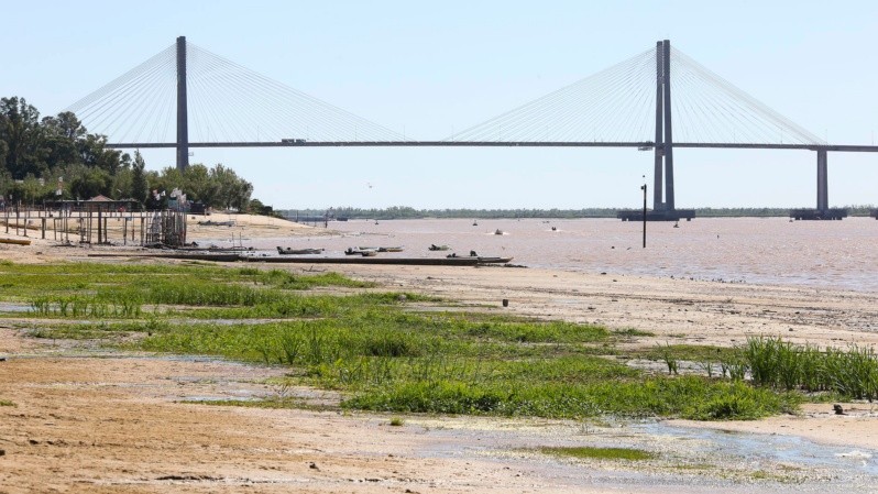 La sequía agudizada ya ha comenzado a causar estragos en la economía argentina. Crédito: © Rosario3