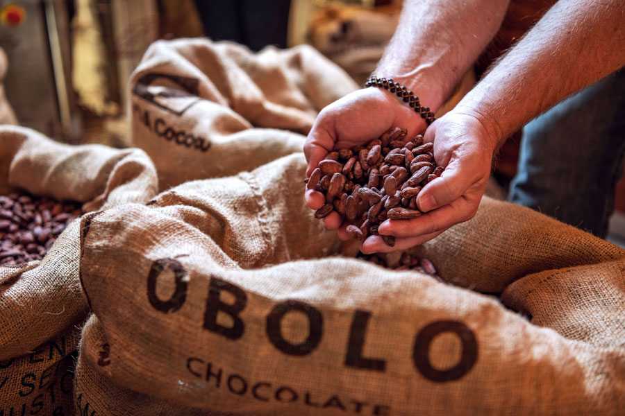 Cacao ÓBOLO ©ÓBOLO Chocolate