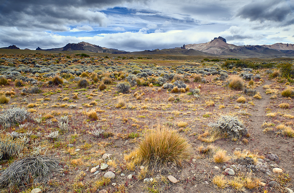 Estepa patagónica ©Jorge León Cabello