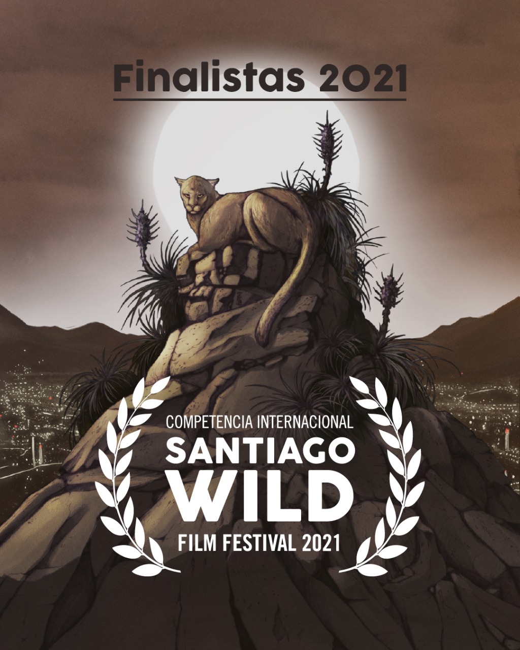Finalistas Santiago Wild