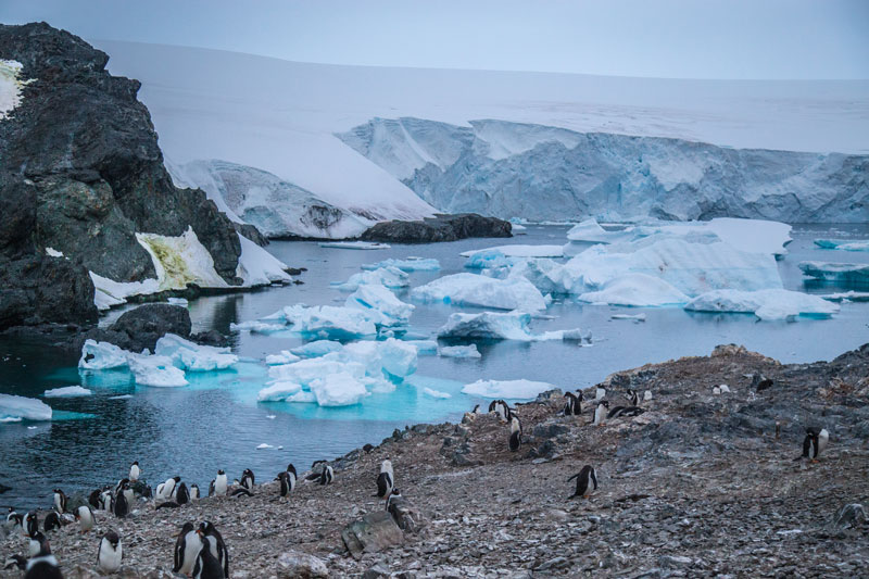 Antártica Chilena – Gentileza de INACH