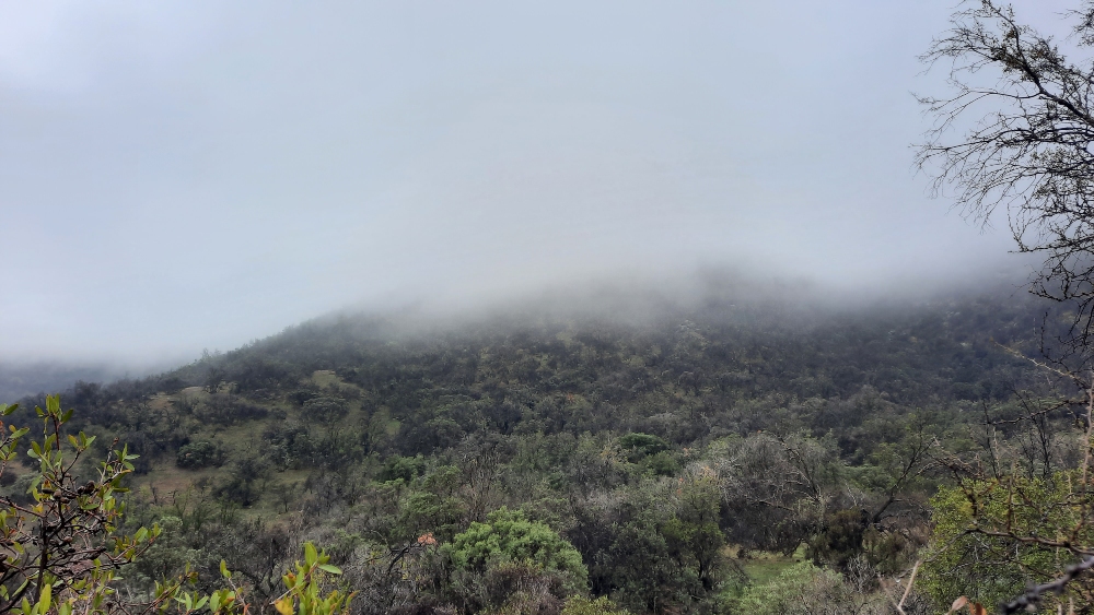 Primeros metros Parque Cordillera – ©️Adolfo Molina