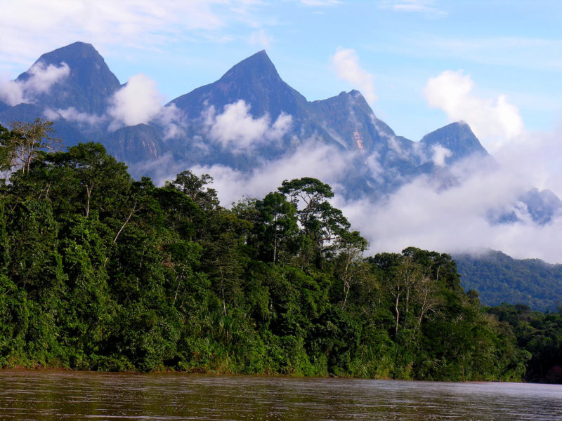 La Reserva Indígena Kakataibo limita con el Parque Nacional Cordillera Azul. Crédito: © Álvaro del Campo / CIMA.