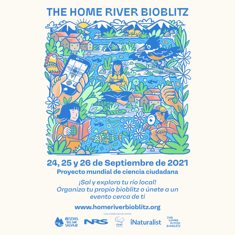 The Home River Bioblitz convoca a participantes en toda Latinoamérica. Crédito: © THRB