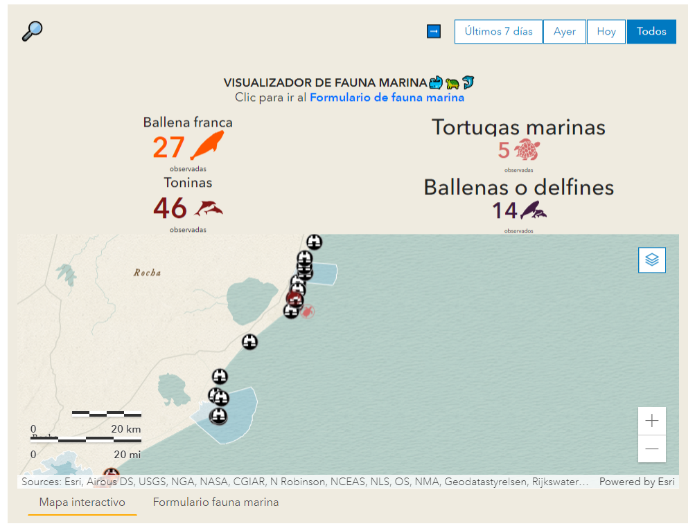 La herramienta cuenta con un visualizador de fauna marina con mapa interactivo. Crédito: Captura