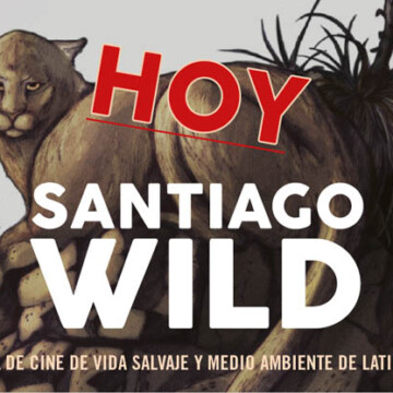 ¡Link aquí! Hoy empieza Santiago Wild 2021: 10 días de documentales inéditos de medio ambiente y naturaleza gratis y online en tu hogar