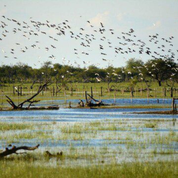 Argentina: Avanza el proceso para crear el Parque Nacional Ansenuza en la provincia de Córdoba, el que podrá ser el parque más grande de este país