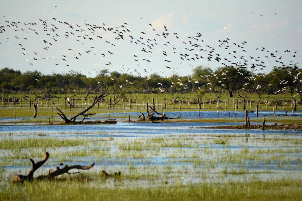 Argentina: Avanza el proceso para crear el Parque Nacional Ansenuza en la provincia de Córdoba, el que podrá ser el parque más grande de este país