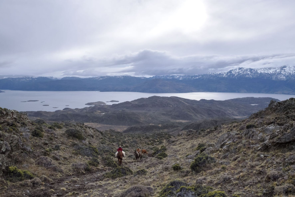 Arrieros en Lago Cochrane, Región de Aysén. Crédito: © Pía Vergara