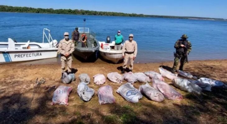 Argentina: Prefectura Naval detiene a un guía de pesca con 700 kilogramos de carne de carpinchos