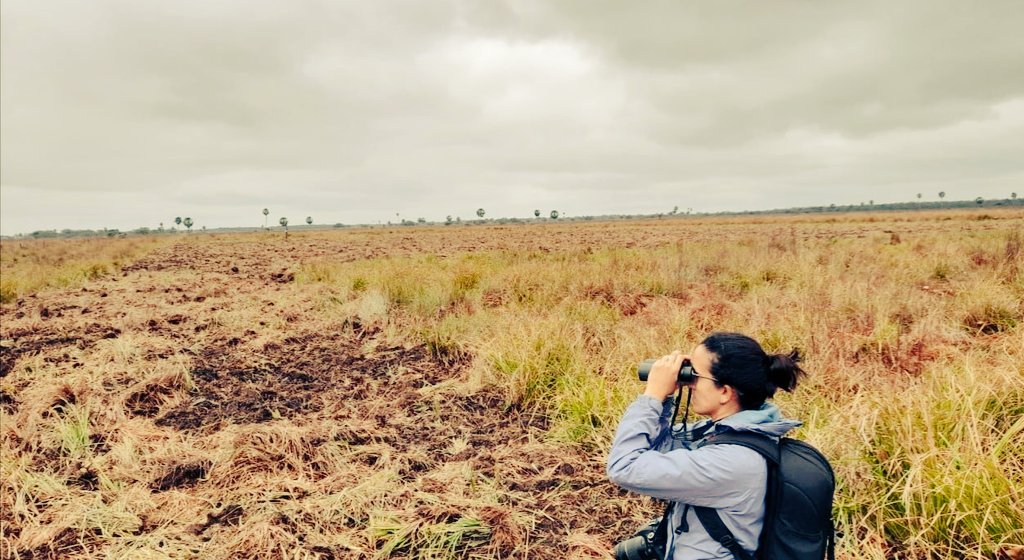 Una funcionaria observando el paisaje en búsqueda del yetapá de collar. Crédito: © MOPC Paraguay