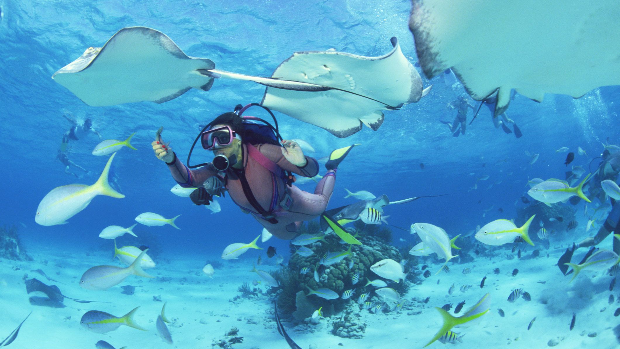 Aruba atrae turistas y amantes del buceo por la calidad de sus aguas y la biodiversidad marina. Crédito: Expedia