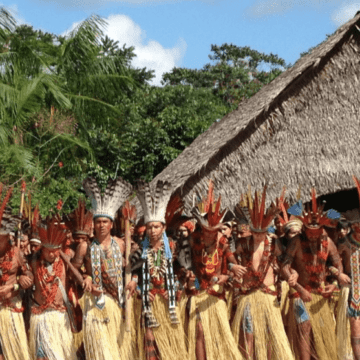 Brasil: territorio indígena en Acre funciona como freno a la deforestación y puede generar créditos de carbono