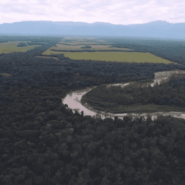 Argentina: Plantean creación del primer «paisaje protegido fluvial» en la provincia de Jujuy, al norte del país