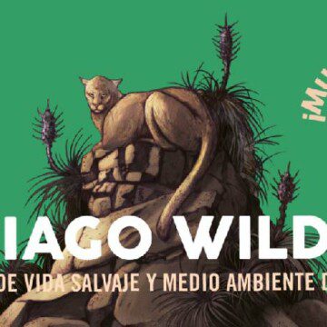¡Muchas gracias! Con más de 70 mil espectadores finalizó el festival Santiago Wild 2021