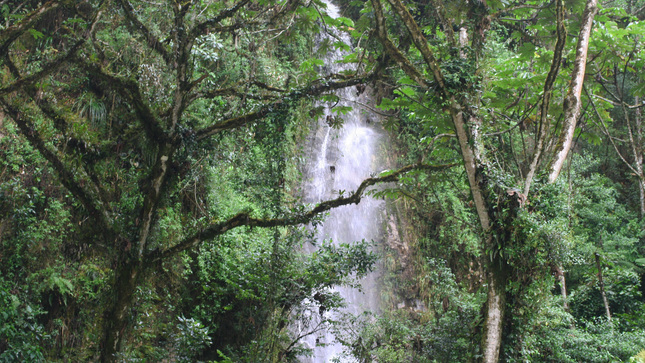Una cascada en medio del bosque cerca de Satipo, en Perú. Crédito: © SERNANP