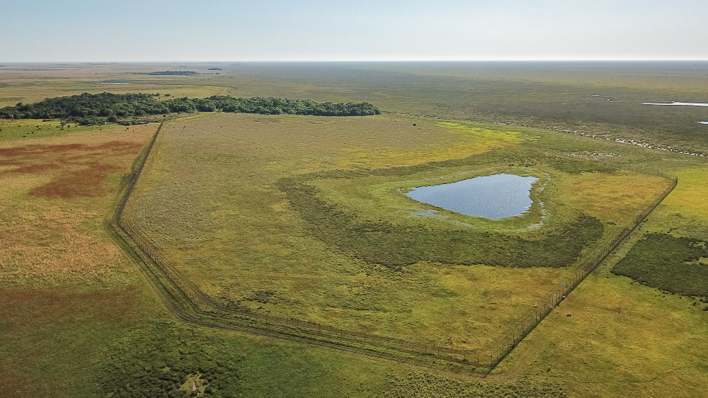 Centro de Reintroducción de Yaguareté desde el aire – Parque Iberá. Crédito: © Rewilding Argentina