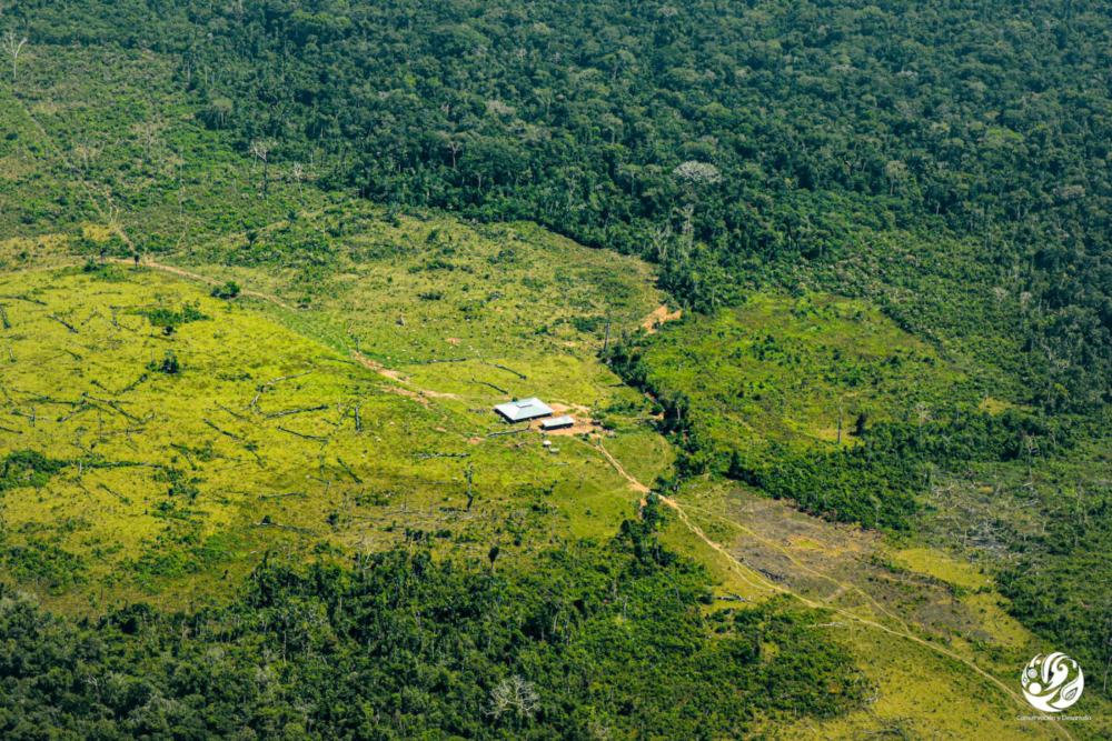 Deforestación, vía y colonización en el resguardo Yaguará, en límites con el parque Chiribiquete. Crédito: © FCDS.