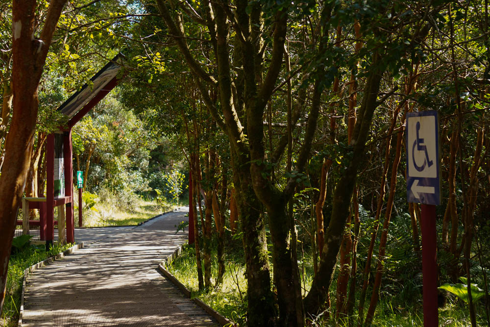 Parque Nacional Chiloé ©Verónica Droppelmann (5)