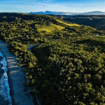 Costa Rica gana el Earthshot Prize por su modelo de conservación de naturaleza y biodiversidad