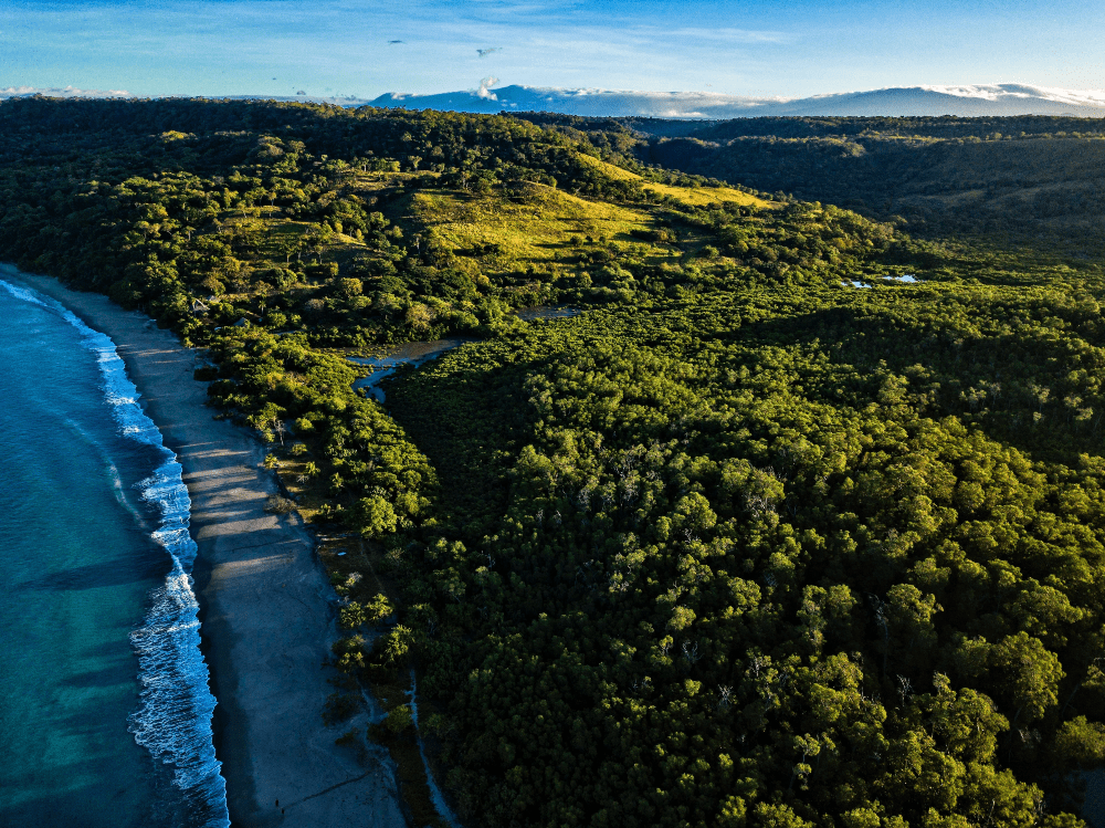 Costa Rica gana el Earthshot Prize por su modelo de conservación de naturaleza y biodiversidad