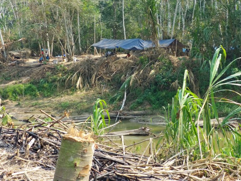 Quebradas afectadas por el camino abierto por madereros. Crédito: Cortesía Upper Amazon Conservancy.