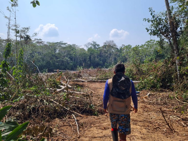 Deforestación causada por madereros en territorio de la comunidad de Sawawo. Crédito: Cortesía Upper Amazon Conservancy.