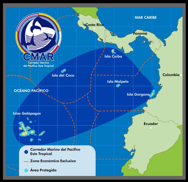 El Corredor Marino del Pacífico Tropical Oriental es una de las áreas de conservación de vida marina más grande del planeta.