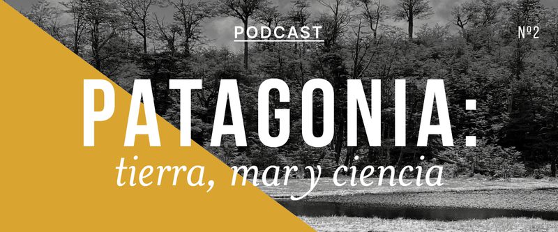 Podcast “Patagonia: Tierra, Mar y Ciencia”, capítulo #2: “Hacia la protección de los bosques y turberas de la Patagonia”