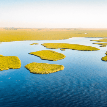 Argentina: Amplían el Parque Provincial Iberá sumándole 40 mil hectáreas de área protegida
