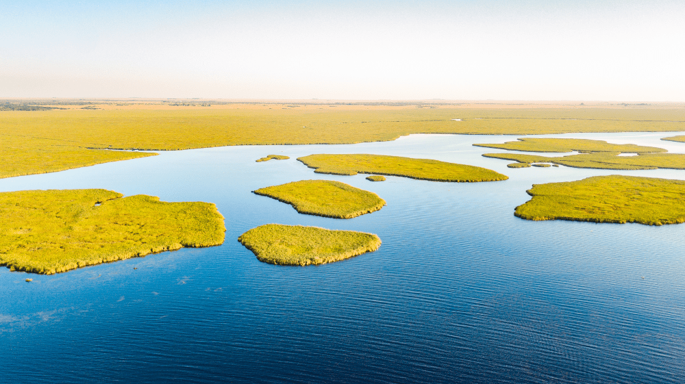 Argentina: Amplían el Parque Provincial Iberá sumándole 40 mil hectáreas de área protegida