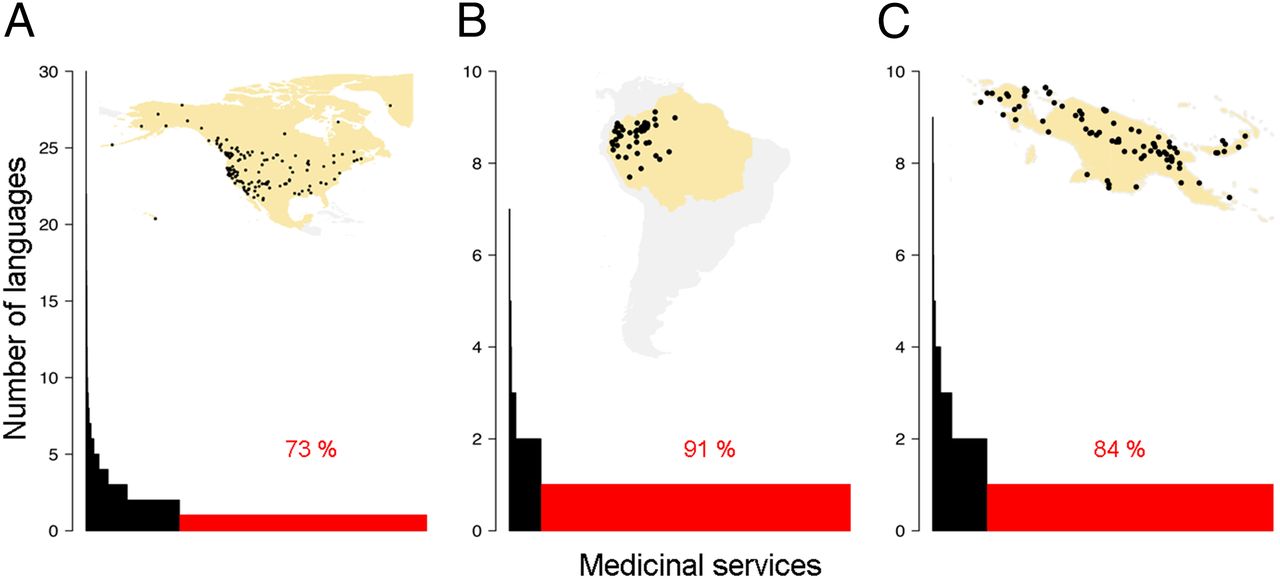 Los puntos en los mapas indican la distribución de las lenguas que citan plantas medicinales. Las barras rojas muestran el porcentaje de conocimiento medicinal restringido a una única lengua en América del Norte (A), el noroeste de la Amazonía (B) y Nueva Guinea (C).